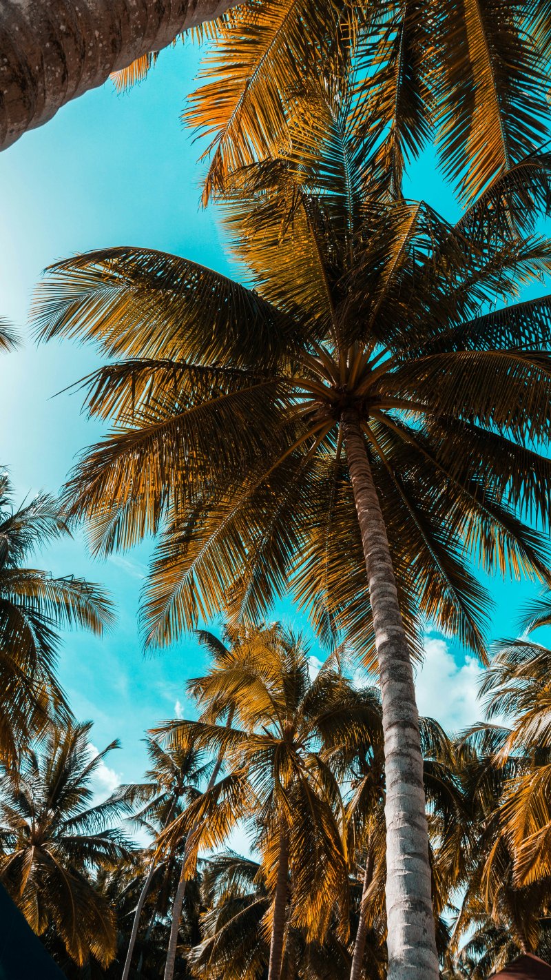 https://unsplash.com/