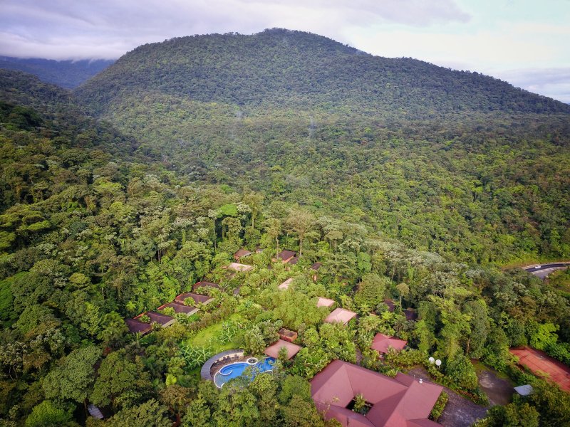 https://avedelsoltravel.com/