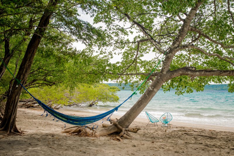 https://avedelsoltravel.com/