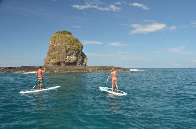 https://avedelsoltravel.com/