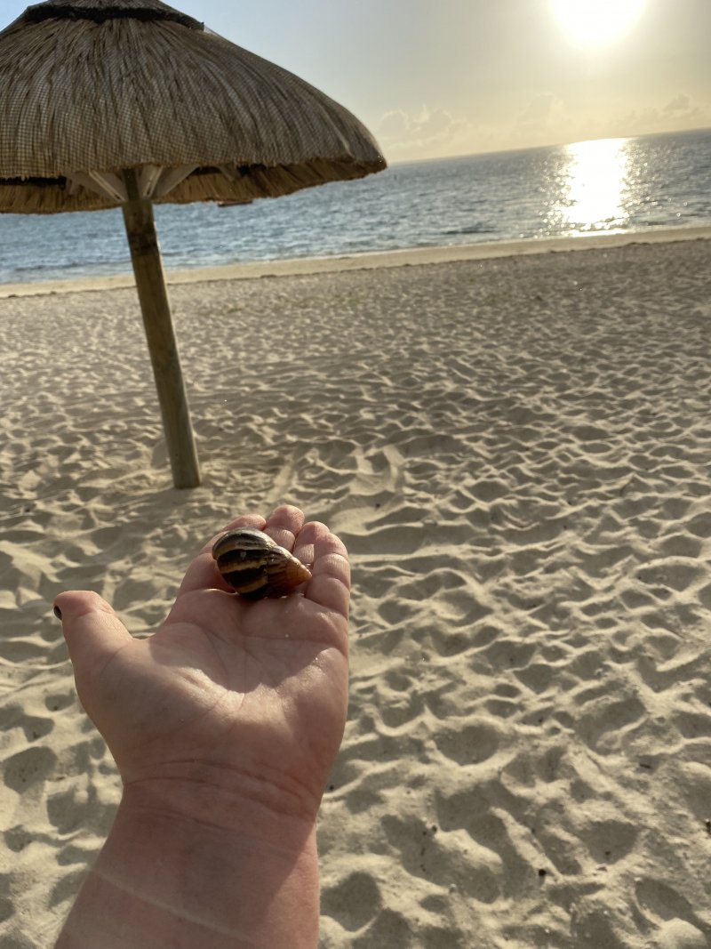 Sunrise Attitude - pláž