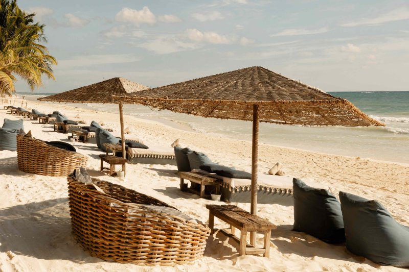 betulum.com