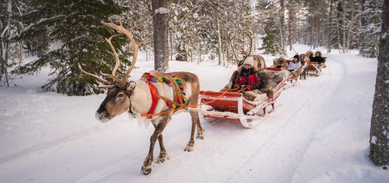 https://santaclausvillage.info/