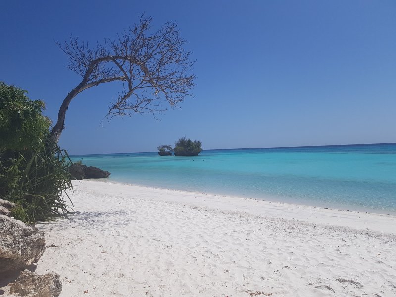 zanzibar-2019-009.jpg